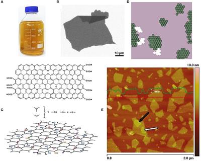 Frontiers Graphene Oxide and Derivatives The Place in Graphene